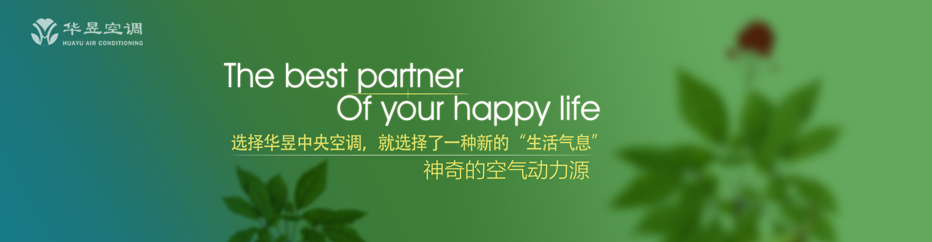 摩肩接踵网